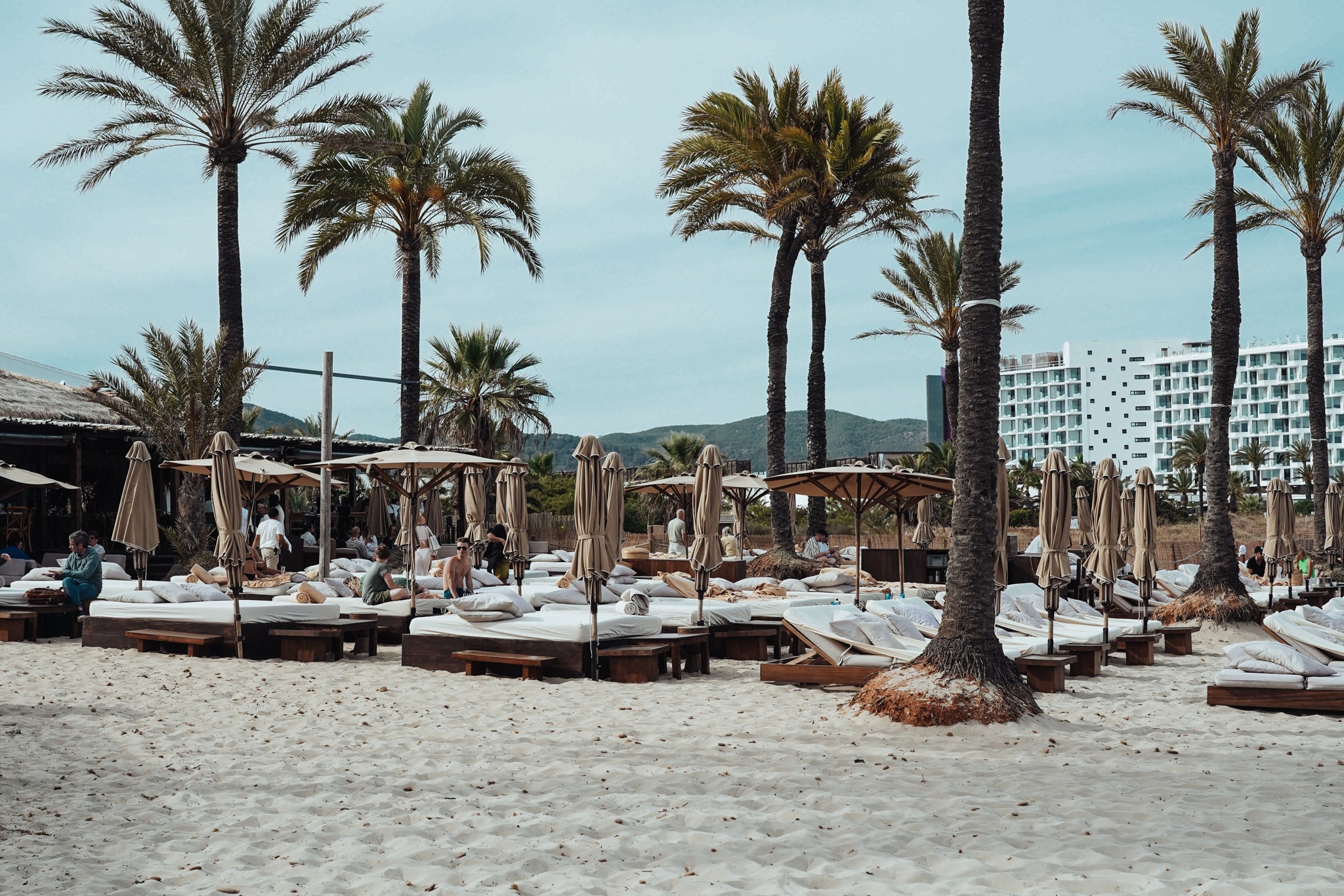 Climate Activism in Ibiza: A Call for Awareness and Change
